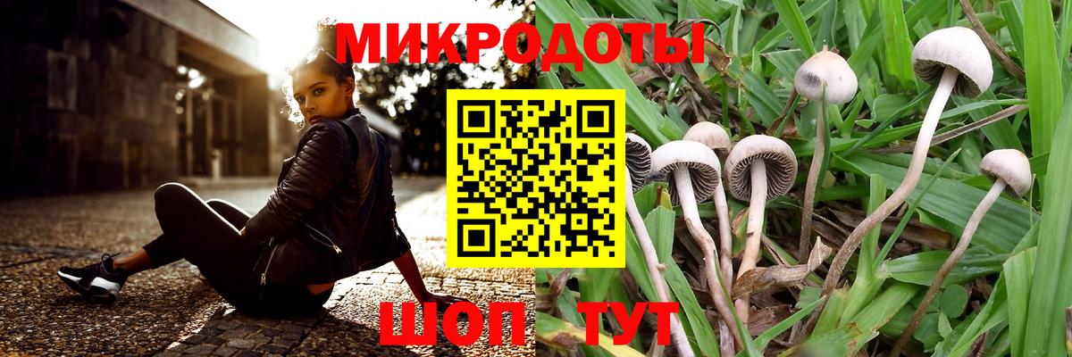 Псилоцибиновые грибы мицелий  Галлюциногенные грибы мицелий  Вход с VPN  Ярославль 